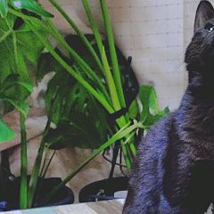 16位のイメージ