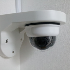 29位のイメージ