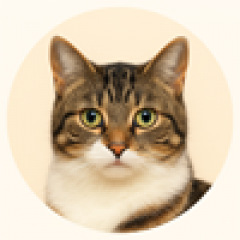 13位のイメージ