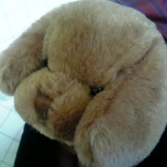 17位のイメージ