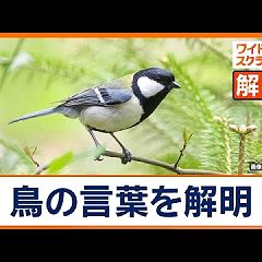 59位のイメージ