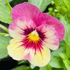 70位のイメージ