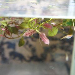 19位のイメージ