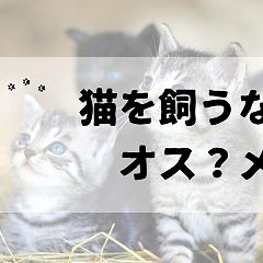 28位のイメージ