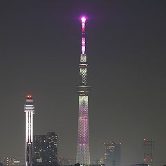 26位のイメージ