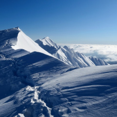 25位のイメージ