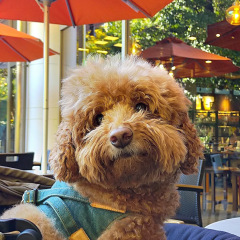 1093位のイメージ