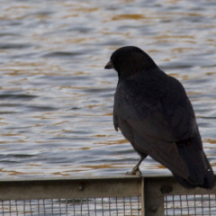 57位のイメージ