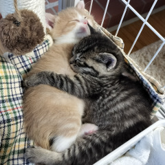 1179位のイメージ