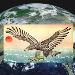 416位のイメージ