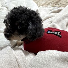 19位のイメージ