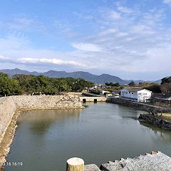 39位のイメージ