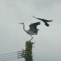 26位のイメージ