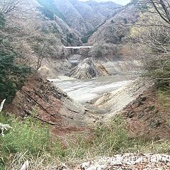 594位のイメージ