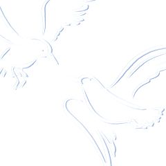 308位のイメージ