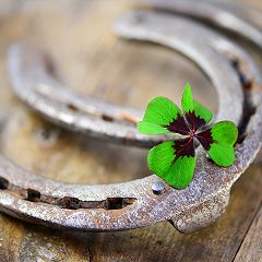 37位のイメージ