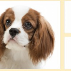 12位のイメージ