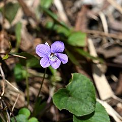11位のイメージ
