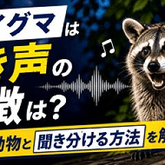 40位のイメージ