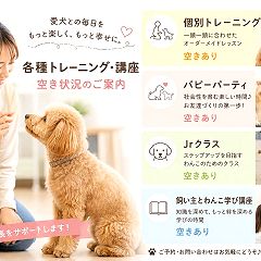 27位のイメージ