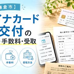 283位のイメージ