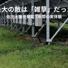 253位のイメージ