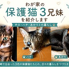 551位のイメージ