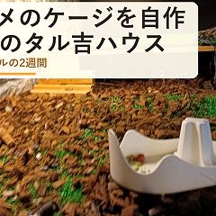 34518位のイメージ