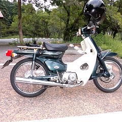 239位のイメージ
