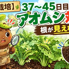 118位のイメージ