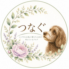 9296位のイメージ