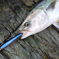 155位のイメージ