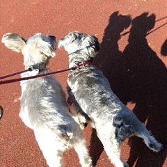 41位のイメージ