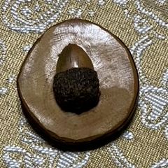 11位のイメージ