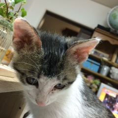 26位のイメージ