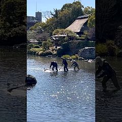 120位のイメージ