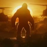 116位のイメージ