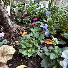 143位のイメージ