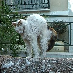 120位のイメージ