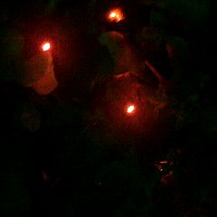 71位のイメージ