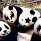 478位のイメージ