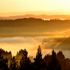 10位のイメージ