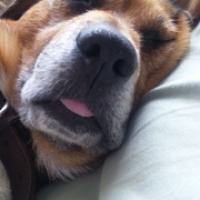 24位のイメージ