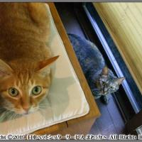 18位のイメージ