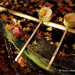 74位のイメージ