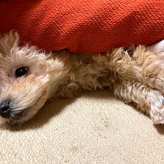 131位のイメージ