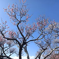 127位のイメージ