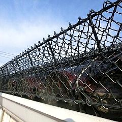 41位のイメージ