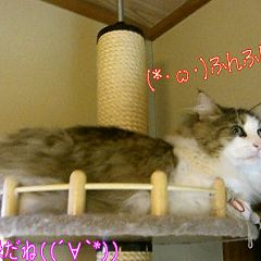 122位のイメージ