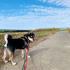 56位のイメージ